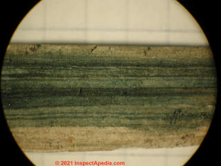 Blue-green fungal staining in wood (C) Daniel Friedman at InspectApedia.com