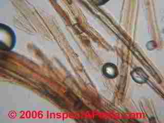 Hardboard fiber staining on Art Work (C) U Runeberg D Friedman