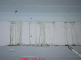Paint run-down stains from un-primed clapboard back surfaces - maybe (C) Daniel Friedman at InspectApedia.com