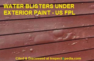 Water blisters under exterior paint, US FPL, cited & discussed at InspectApedia.com