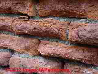 Damaged brick wall © D Friedman at InspectApedia.com 
