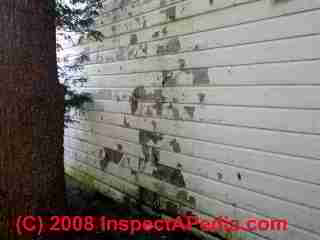Peeling paint on an old building may contaminate the soils below (C) Daniel Friedman