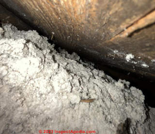 possible perlite and pumice mixed insulation (C) InspectApedia.com JohnA