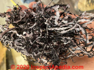 Identify this plastic like shredded building insulation (C) Inspectapedia.com Billy