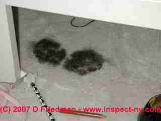 Photograph of floor carpet stains