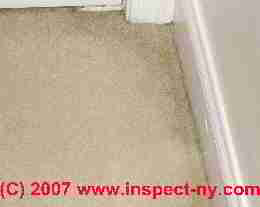 Photograph of stains on floor carpeting