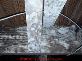 White stains on wood not mold (C) InspectApedia Adrian S