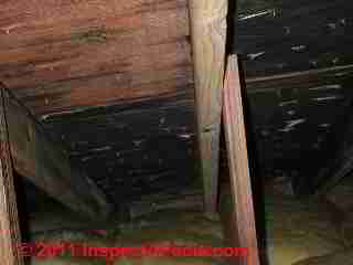 Attic condensation, mold, plywood damage, shingle nails penetrating the roof deck (C) Daniel Friedman at Inspectapedia.com
