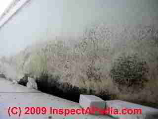Marble wall mold in a bathroom (C) Daniel Friedman