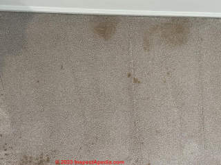 carpet mold stains (C) InspectApedia.com Tracey