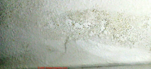 Green stuff on ceiling after leak - mold suspect (C) InspectApedia.co Cora