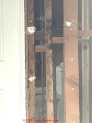 black mold on joists and test results (C) InspectAepedia.com Manny