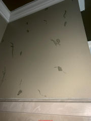 Painted wall design bleeds through when painted over - not mold (C) Inspectapedia.com Elizabeth