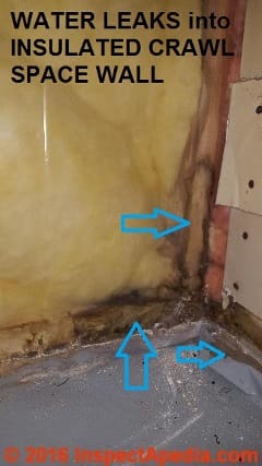 Crawl space wall leaks invite mold growth (C) InspectApedia RM