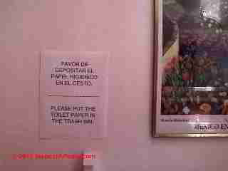Toilet paper San Miguel de Allende (C) Daniel Friedman