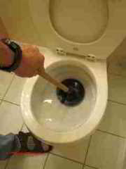 Toilet plunger at work (C) Daniel Friedman