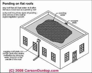 Low slope and flat roof blistering (C) Carson Dunlop Associates