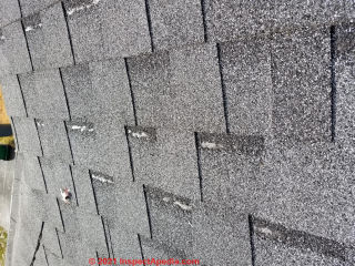Roof damage-shingle granule loss, tabs blown off /(C) InspectApedia.com Greg