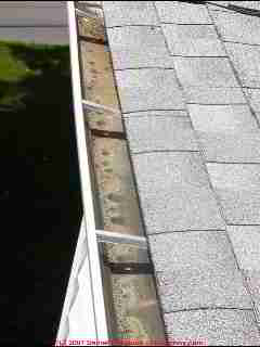 Photograph of roof shingle mineral granules in the gutter (C) Daniel Friedman