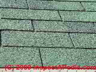 Blistered IKO roof shingles (C) Daniel Friedman