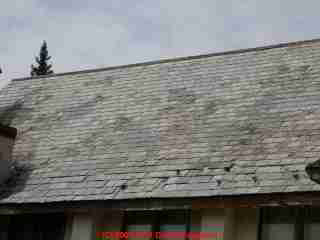 Photograph of slate roofing - stay off