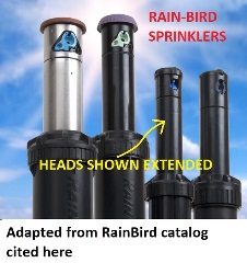 Rain Bird sprinkler head illustration at InspectApedia.com