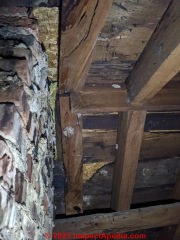 stains on brick & roof sheathing in attic of old house - mold? Effloresence? - Leesa (C) InspectApedia.com