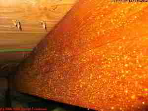 Wood sap on an attic rafter - this is not mold - Daniel Friedman 04-11-01