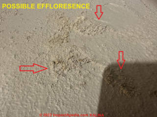 Effloresence (maybe) on a painted plaster wall? (C) Inspectapedia.com Kalina