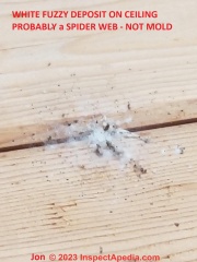 White fluffy deposit on wood ceiling is probably a spider web, not mold (C) InspectApedia.com Jon