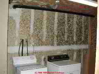 Mold on basement laundry room wall - Daniel Friedman 04-11-01