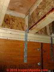 Connection of roof wood I Joist to beam © Daniel Friedman at InspectApedia.com