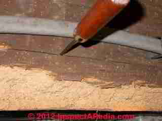 Powder post beetle old house borere damage photographs © D Friedman at InspectApedia.com 