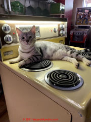 Cat on a hot Moffat stoe - not on a hot tin roof (C) InspectApedia.com anon