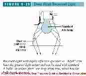 Figure 5-29: (C) J Wiley, S Bliss