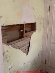 Plaster-lath wall could have been used in some Sears Kit Homes (C) InspectApedia.com Tacky