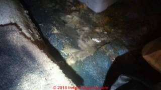 Sewage backup in Aurora CO requires professional cleanup (C) InspectApedia.com Shae Hamilton