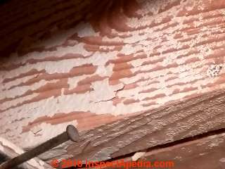 Flaky white paint on building perimeter framing & joists (C) InspectApedia.com Lee 