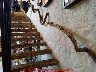 Beautifully discontinuous handrailing in San Miguel de Allende, GTO Mexico (C) Daniel Friedman at InspectApedia.com
