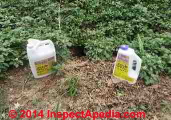 Ground hog hole & two ground hog repellent products under trial (C) Daniel Friedman