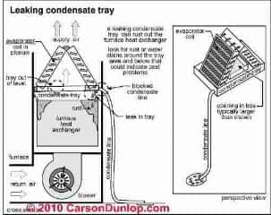 Leaking AC condensate tray Carson Dunlop Associates