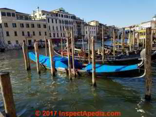 The Venice Lagoon at San Croce (C) DanieL Friedman