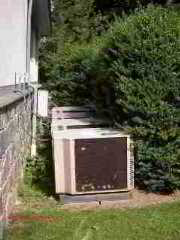 Photograph of an overgrown air conditioning condenser