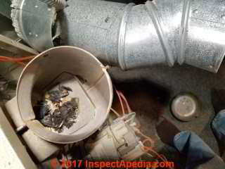 Cooked dead bird in the flue vent connector of a gas fired furnace (C) Daniel Friedman James Agzigian