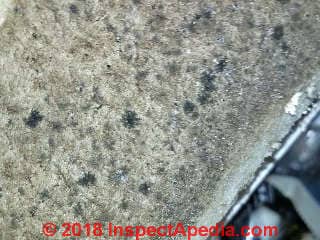 Mold on HVAC system air filter (C) InspectApedia.com Rom.