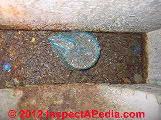 Water and rodents in air duct © D Friedman at InspectApedia.com 