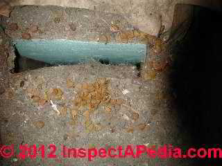 Fiberglass insulation in an air handler (C) Daniel Friedman