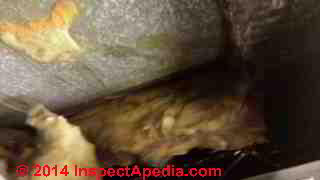 HVAC ducts damaged  insulation (C) InspectApedia