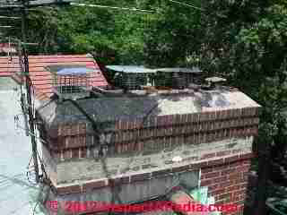 Photo of a crowded chimney top with several issues (C) Daniel Friedman