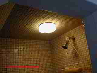 Shower light fixture (C) Daniel Friedman